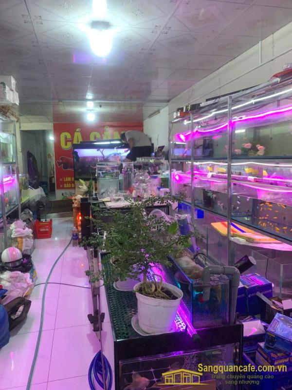 Sang nhượng cửa hàng